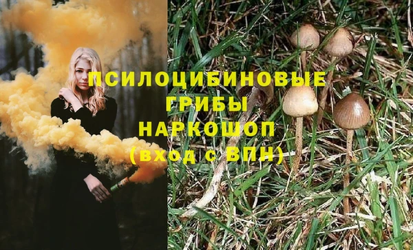 ГАЛЛЮЦИНОГЕННЫЕ ГРИБЫ Бронницы