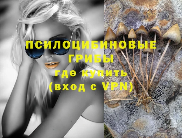 ГАЛЛЮЦИНОГЕННЫЕ ГРИБЫ Бронницы